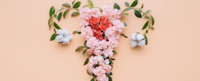 flower arrangement of women's uterus